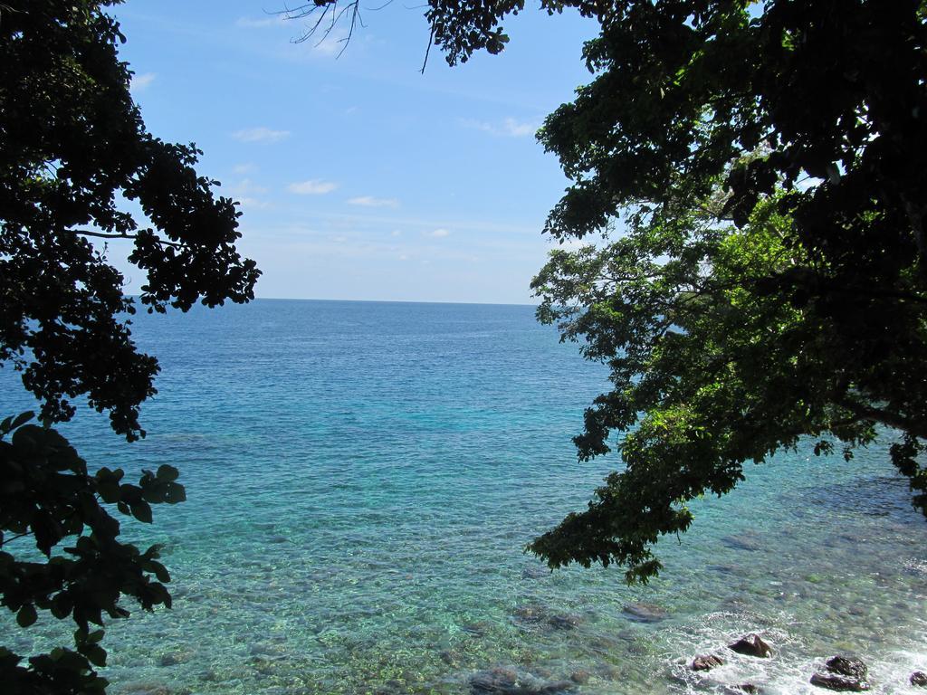 Treetop Guesthouse And Bungalows Sabang  Exteriér fotografie